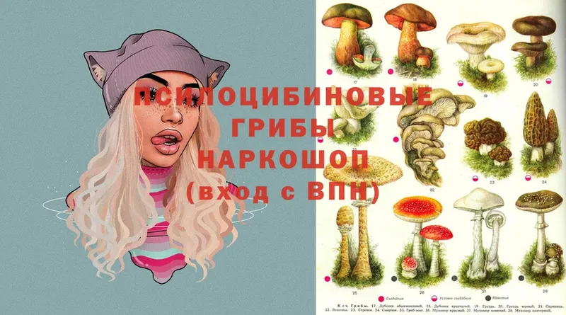 Псилоцибиновые грибы MAGIC MUSHROOMS  Кыштым 